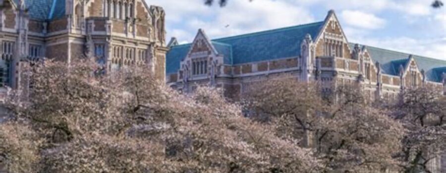 Top Party Bus Ideas for University of Washington Students: Elevate Your Seattle Adventures